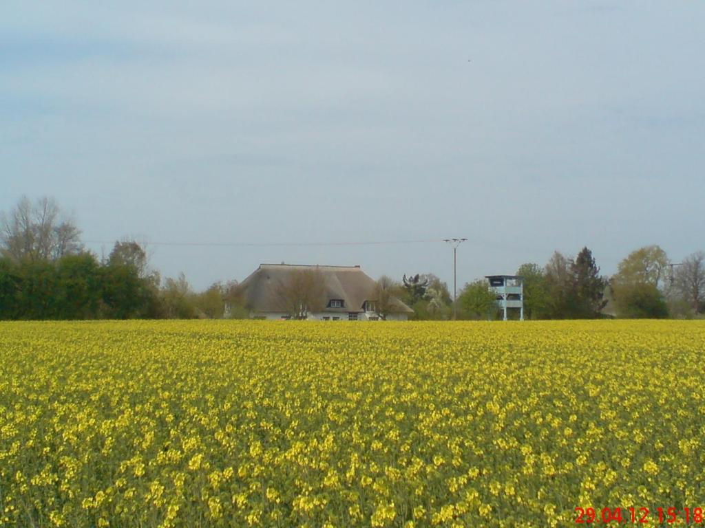 Landhotel Teichwiesenhof, Bed&Breakfast Oldenburg in Holstein Exterior photo